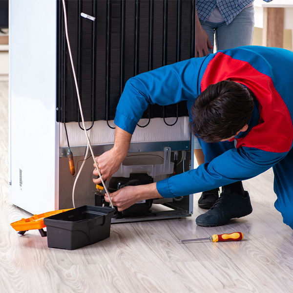 is it cost-effective to repair a refrigerator or replace it entirely in Tofte